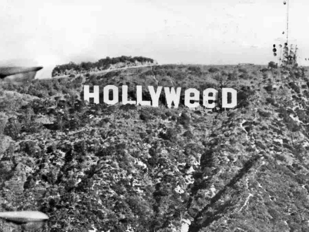 HOLLYWEED S/S TEE