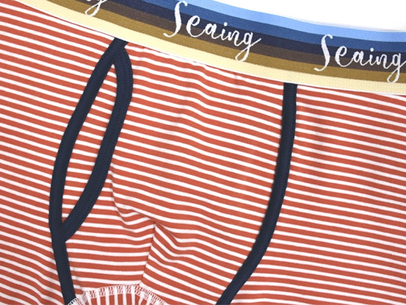 【Seaing】SUNSET BORDER