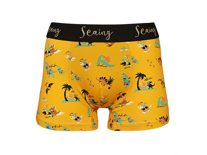 【Seaing】DINOSAUR