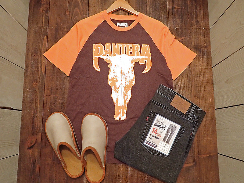 PANTERA/SKULL S/S TEE