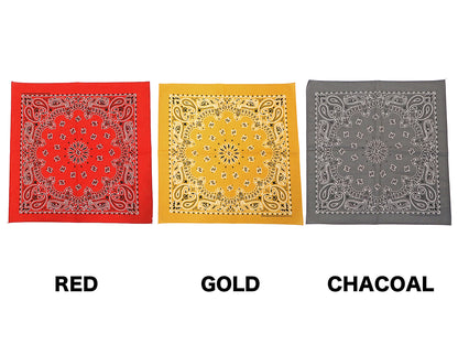 【HAV-A-HANK】TRADITIONAL PAISLEYS BANDANNA