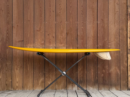 STEVE LIS/CLASSIC FISH 5'9"