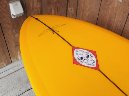 Classic Fish 5'9" 