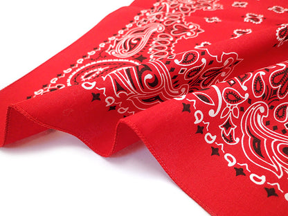 [HAV-A-HANK] TRADITIONAL PAISLEYS BANDANNA