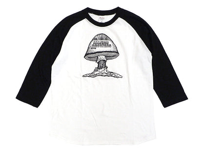 THE ALLMAN BROTHERS BAND RAGLAN TEE