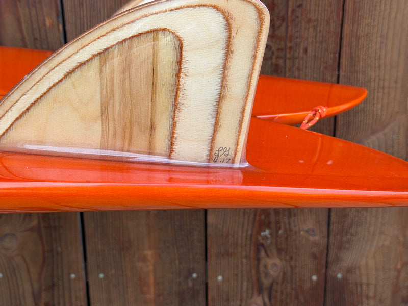 JOSH HALL/SS FISH 5'10"